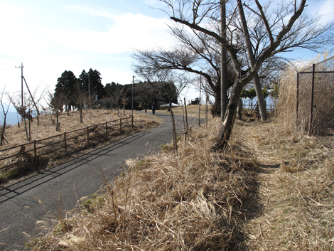 20160108hike (117)